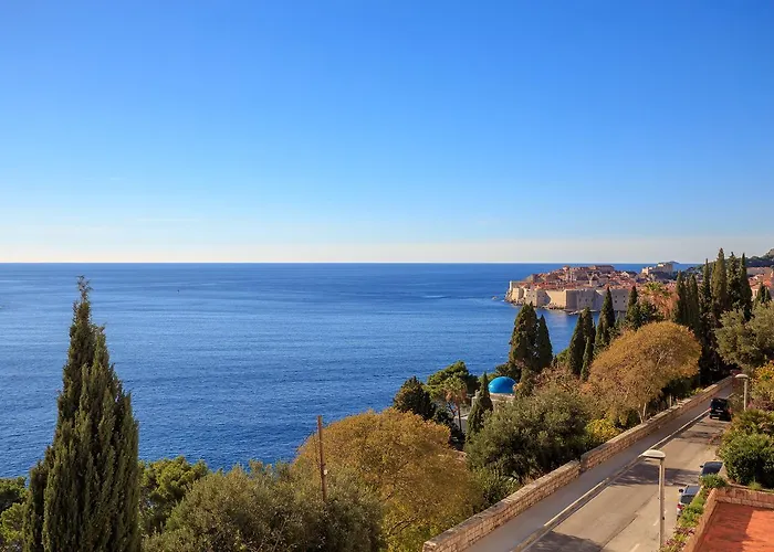 Hedera Estate, Hedera A17 *