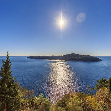 Hedera Estate, Hedera A17 *